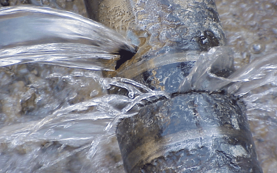 Active Leak Detection Programme