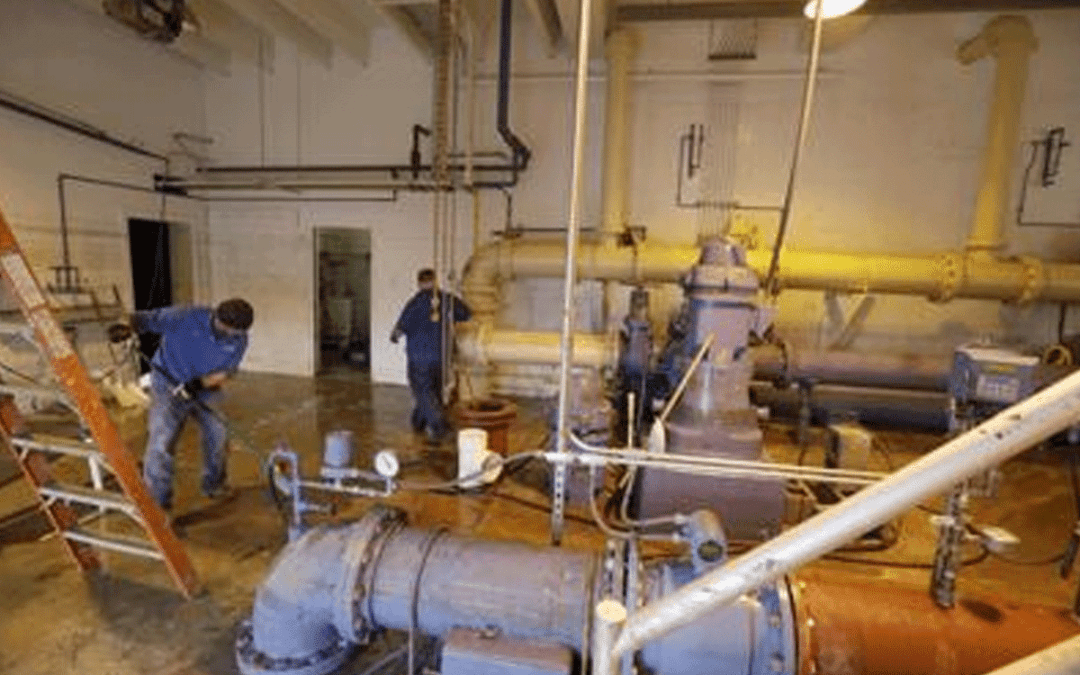 Investing in a capable and effective workforce