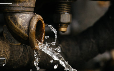 Johannesburg residents urged to use water sparingly