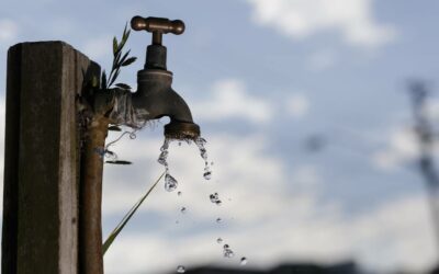 Infrastructure Update: Rand Water Suikerbosch purification plant