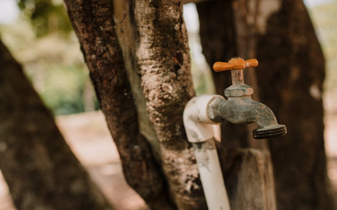 Rand Water Emergency Shutdown – Emfuleni 88kVA transformer