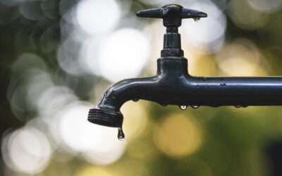 System update 4 May 2025