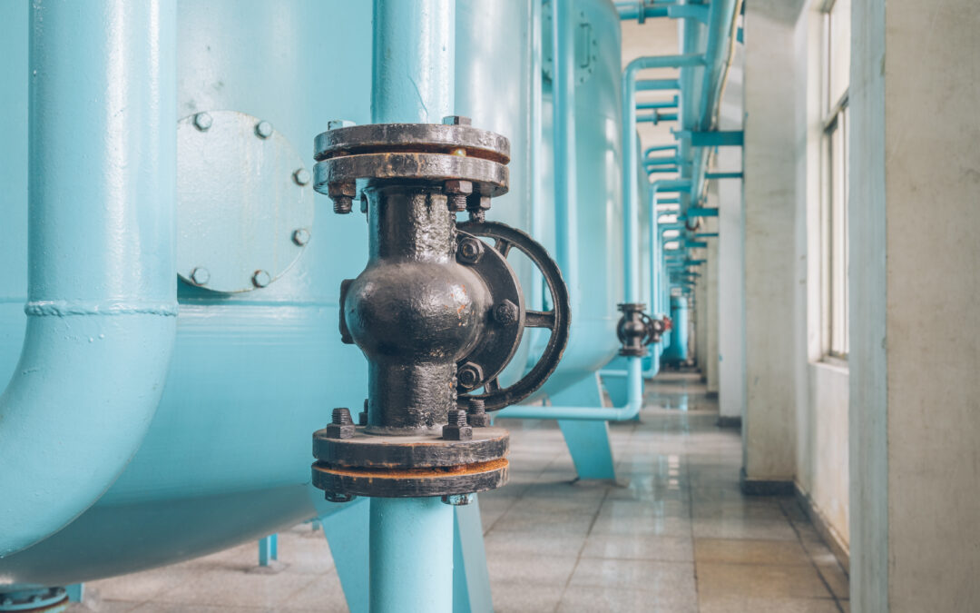 System update 24 July 2025